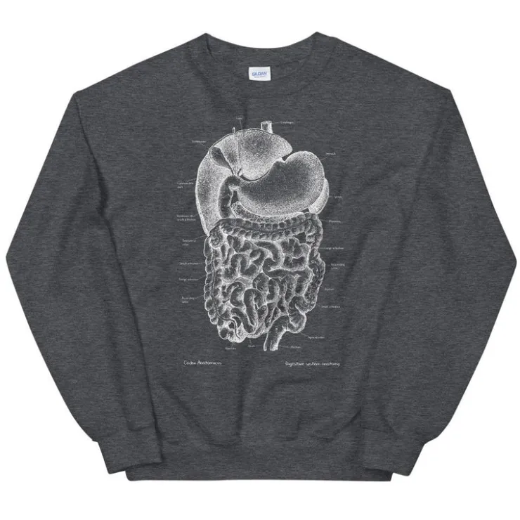 Sweat Unisexe Système Digestif - Chalkboard-Codex Anatomicus Hot