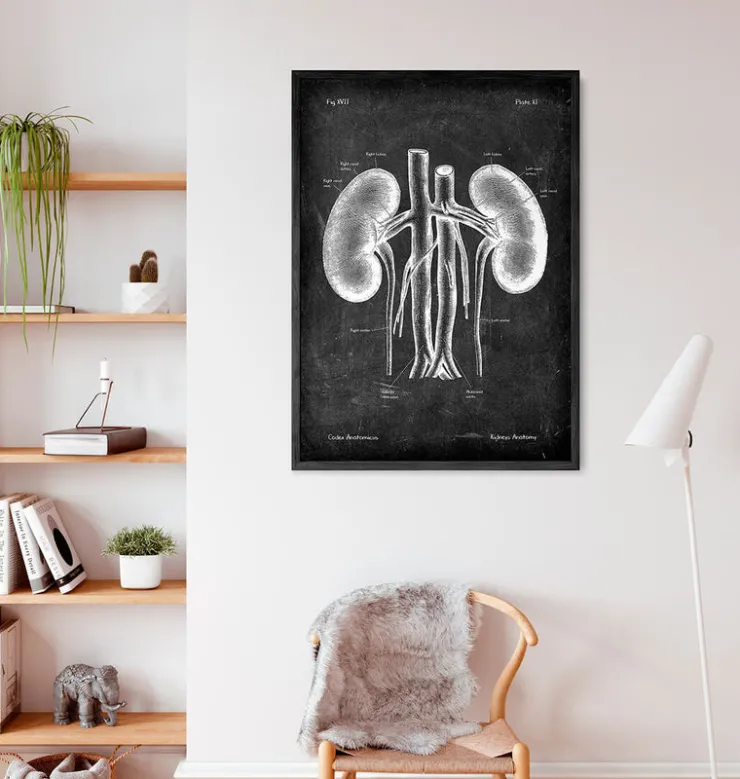 Système digestif - Chalkboard-Codex Anatomicus