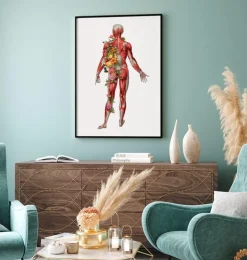 Système musculaire, vue arrière - Floral - Blanc-Codex Anatomicus Discount