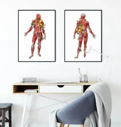 Système musculaire, vue arrière - Floral - Blanc-Codex Anatomicus Discount