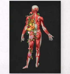 Système musculaire, vue arrière - Floral - Noir-Codex Anatomicus Sale