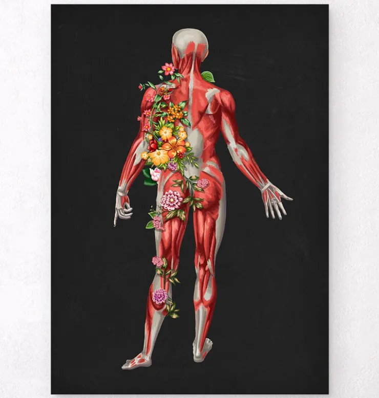 Système musculaire, vue arrière - Floral - Noir-Codex Anatomicus Sale