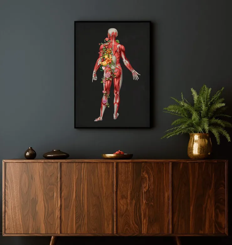 Système musculaire, vue arrière - Floral - Noir-Codex Anatomicus Sale