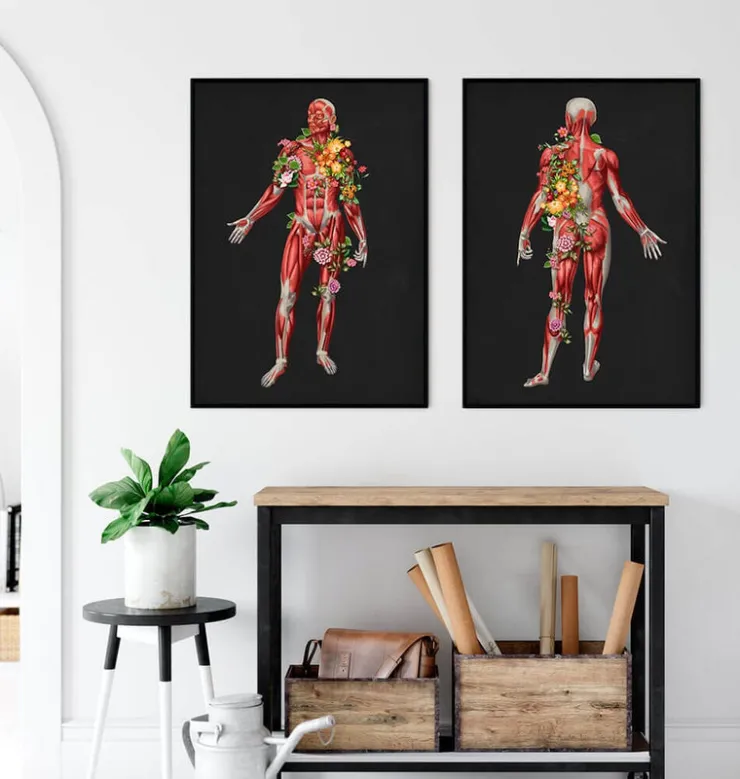Système musculaire, vue arrière - Floral - Noir-Codex Anatomicus Sale