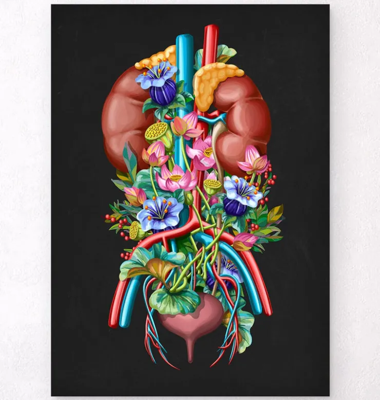 Système urinaire - Floral - Noir-Codex Anatomicus Outlet