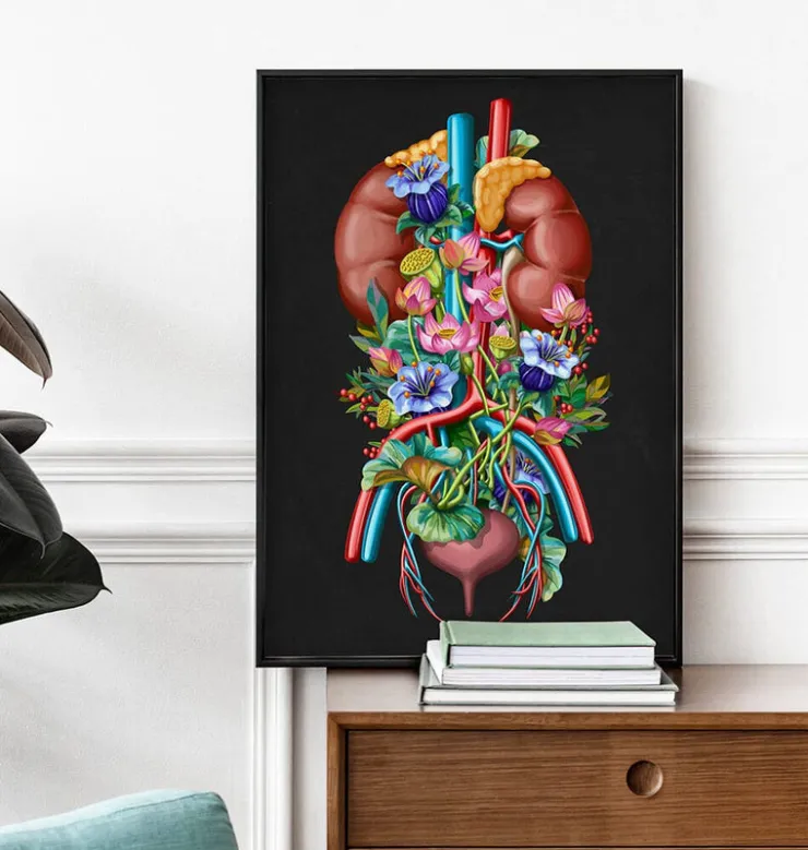 Système urinaire - Floral - Noir-Codex Anatomicus Outlet