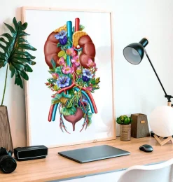 Système urinaire - Floral - Blanc-Codex Anatomicus