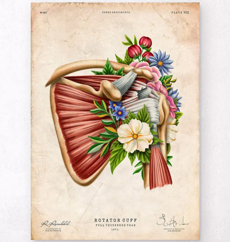 Tendinopathie - Floral - Vintage-Codex Anatomicus Outlet
