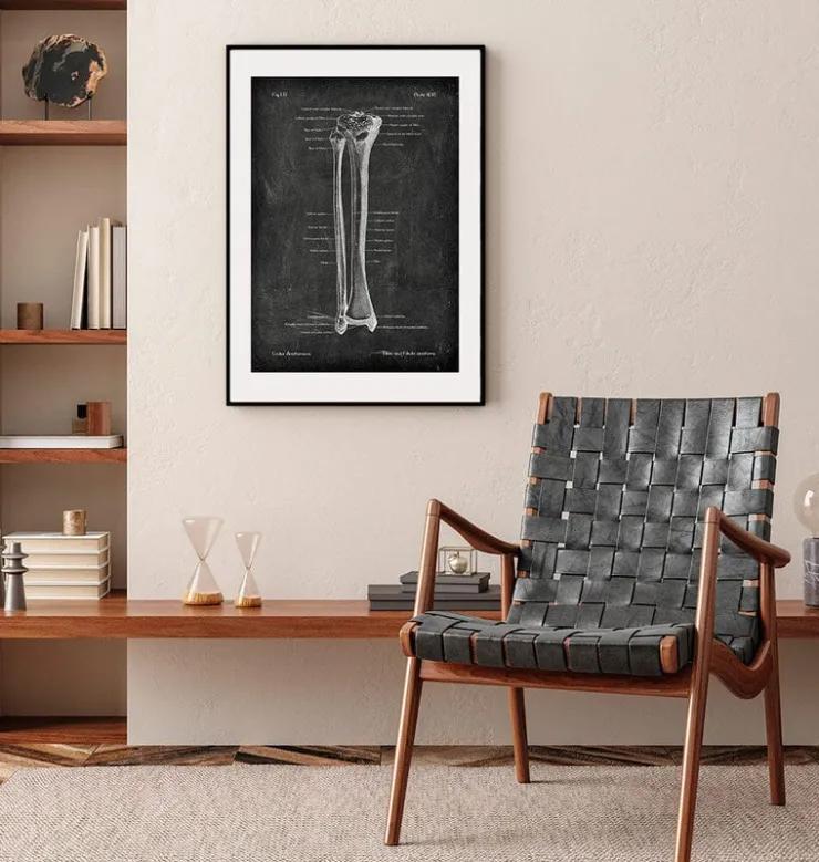 Tibia et fibula - Chalkboard-Codex Anatomicus Clearance