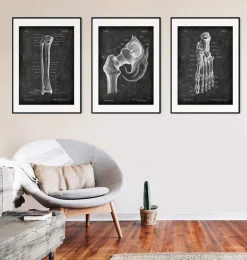 Tibia et fibula - Chalkboard-Codex Anatomicus Clearance