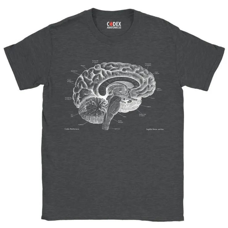 T-shirt Unisexe Cerveau - Chalkboard-Codex Anatomicus Outlet
