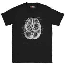 T-shirt Unisexe Cerveau II - Chalkboard-Codex Anatomicus