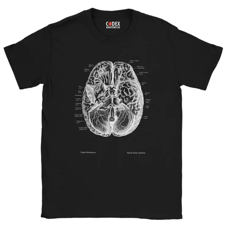 T-shirt Unisexe Cerveau II - Chalkboard-Codex Anatomicus