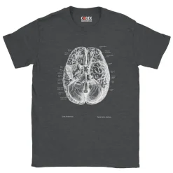 T-shirt Unisexe Cerveau II - Chalkboard-Codex Anatomicus