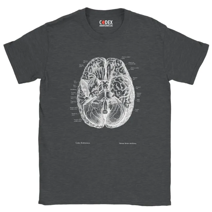 T-shirt Unisexe Cerveau II - Chalkboard-Codex Anatomicus