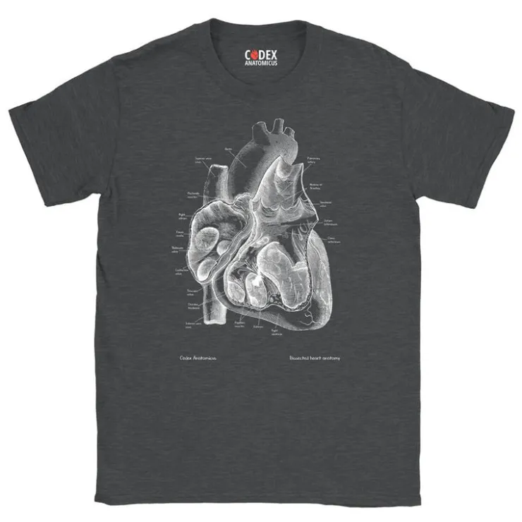 T-shirt Unisexe Coeur II - Chalkboard-Codex Anatomicus Hot