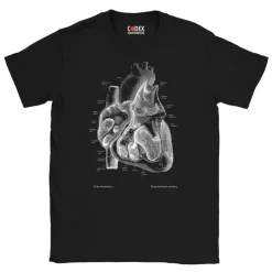 T-shirt Unisexe Coeur II - Chalkboard-Codex Anatomicus Hot
