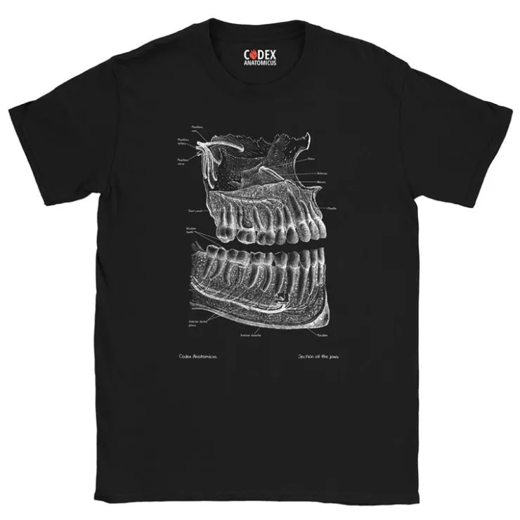 T-shirt Unisexe Dentaire - Chalkboard-Codex Anatomicus New