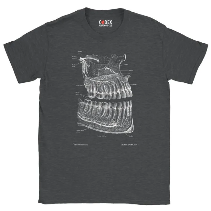 T-shirt Unisexe Dentaire - Chalkboard-Codex Anatomicus New