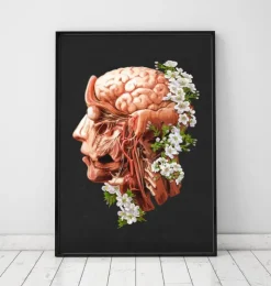 Tête, cerveau et artères - Floral - Noir-Codex Anatomicus Sale