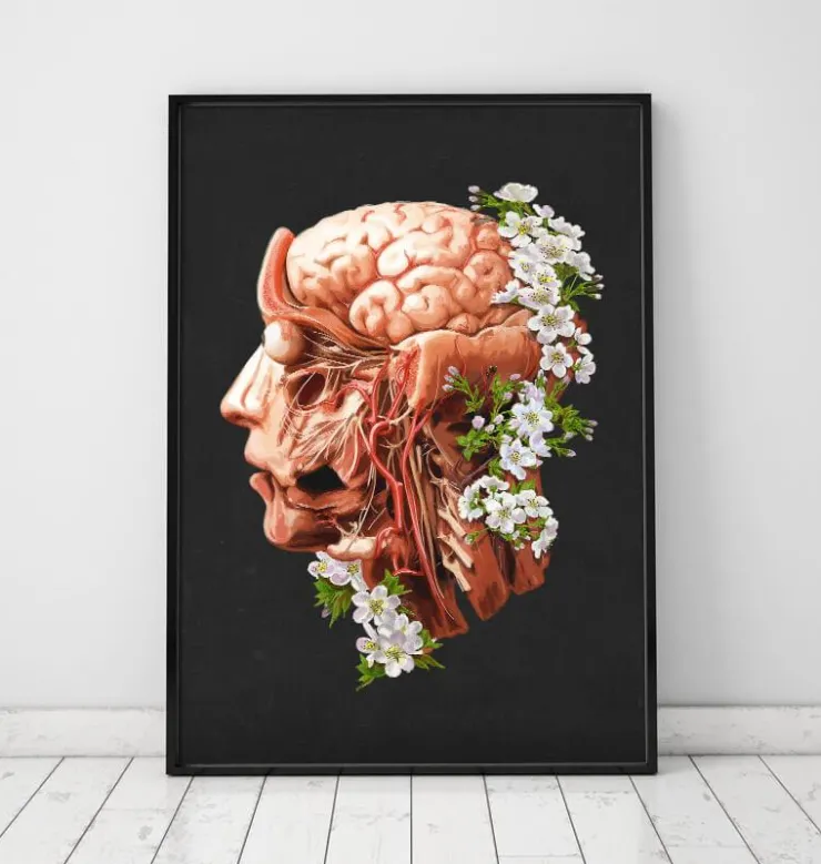 Tête, cerveau et artères - Floral - Noir-Codex Anatomicus Sale
