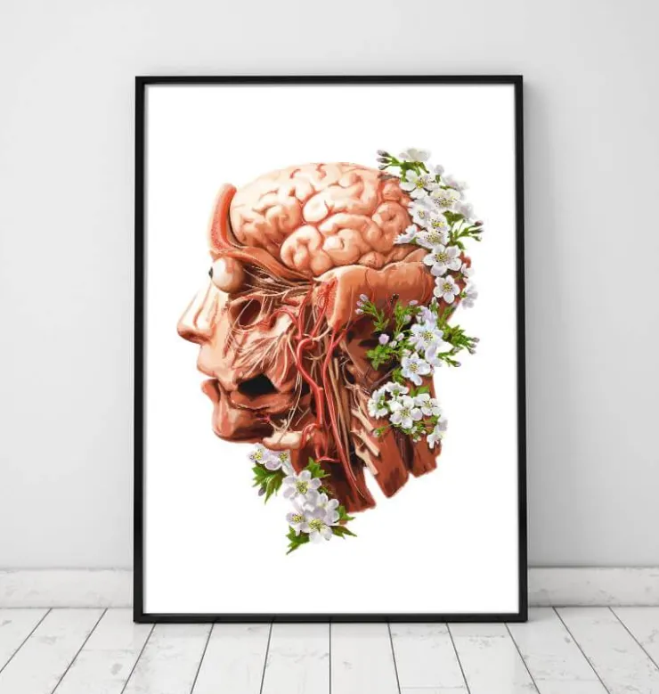 Tête, cerveau et artères - Floral - Blanc-Codex Anatomicus