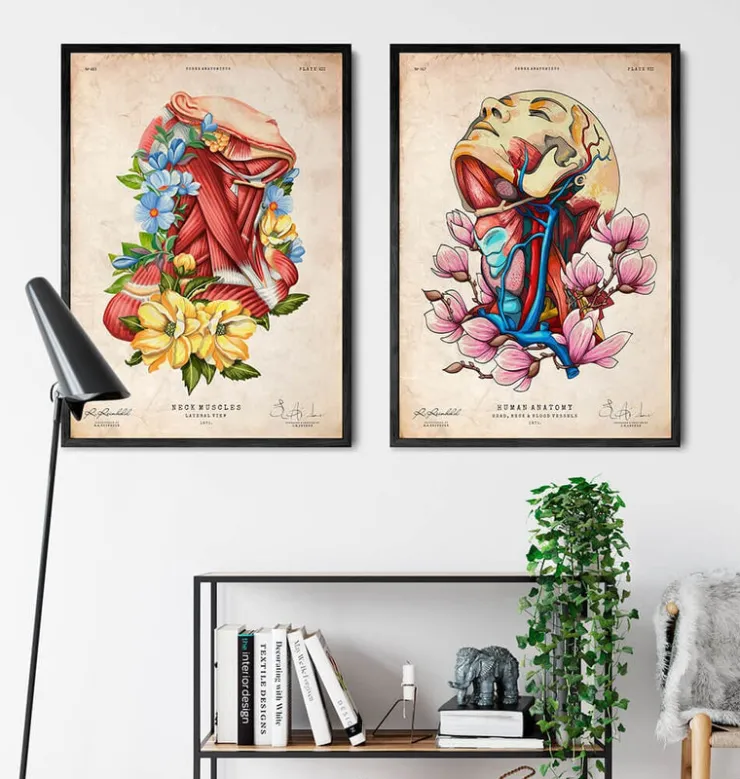 Tête, cou et artères - Floral - Vieux papier-Codex Anatomicus Outlet