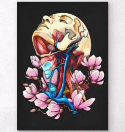 Tête, cou et artères - Floral - Noir-Codex Anatomicus