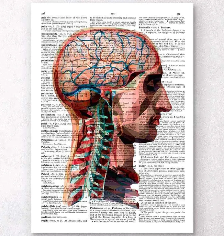 Tête et cerveau - Page du dictionnaire-Codex Anatomicus New