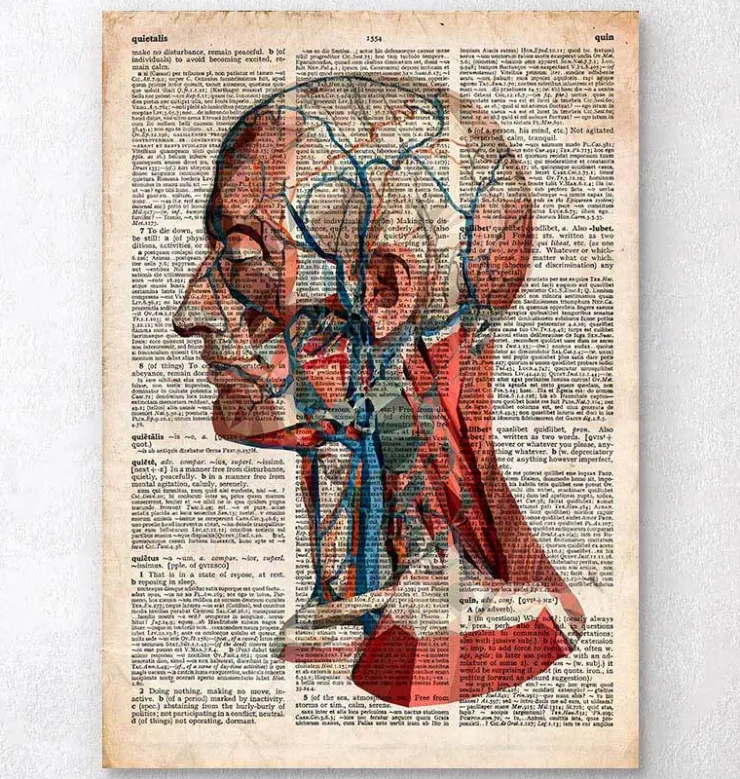 Tête géométrique - Dictionnaire-Codex Anatomicus New