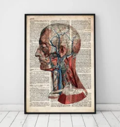 Tête géométrique - Dictionnaire-Codex Anatomicus New