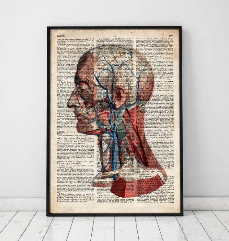 Tête géométrique - Dictionnaire-Codex Anatomicus New