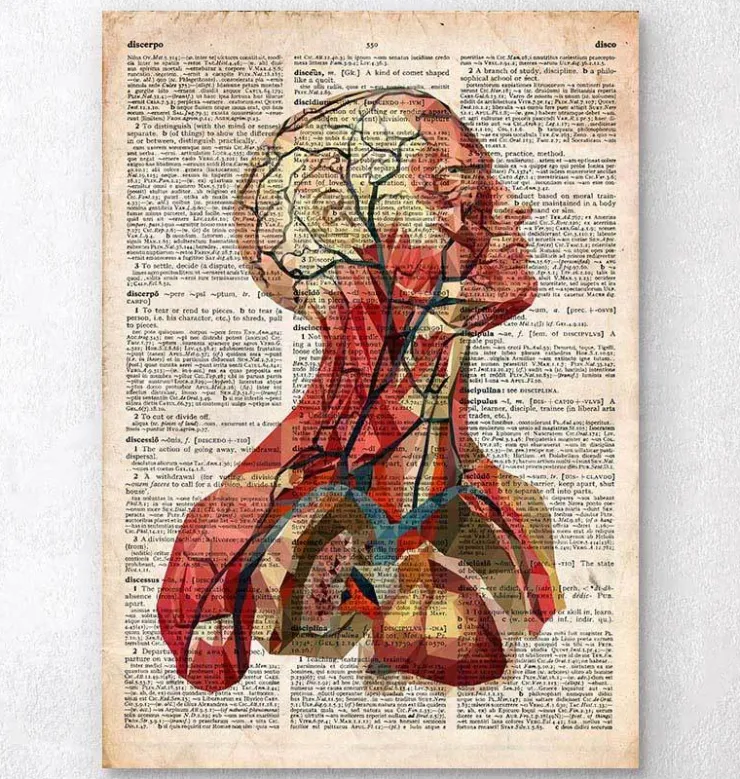 Tête géométrique II - Dictionnaire-Codex Anatomicus Discount