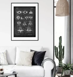 Types de vertèbres - Chalkboard-Codex Anatomicus Discount