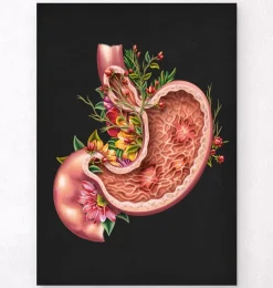 Ulcère gastrique - Floral - Noir-Codex Anatomicus Best