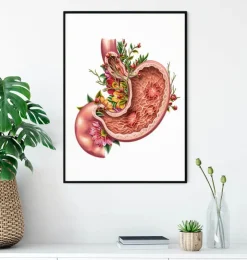 Ulcère gastrique - Floral - Blanc-Codex Anatomicus Online