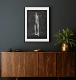 Ulna et radius - Chalkboard-Codex Anatomicus Hot