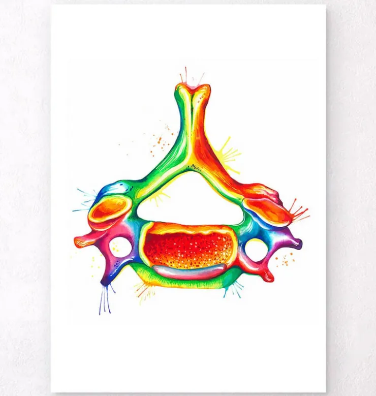 Vertèbre cervicale - Aquarelle-Codex Anatomicus Discount