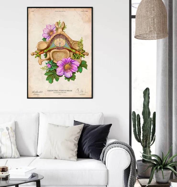 Vertèbre cervicale - Floral - Vintage-Codex Anatomicus Discount