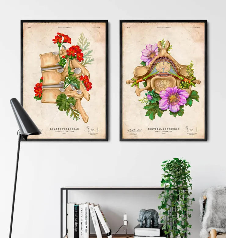 Vertèbre cervicale - Floral - Vintage-Codex Anatomicus Discount