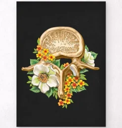 Vertèbre lombaire - Floral - Noir-Codex Anatomicus