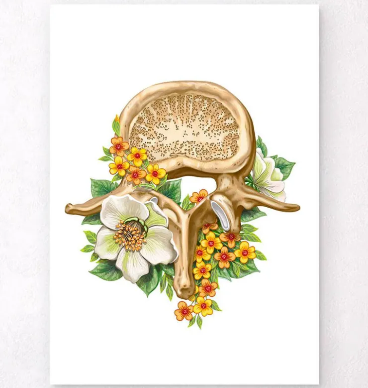 Vertèbre lombaire - Floral - Blanc-Codex Anatomicus Clearance