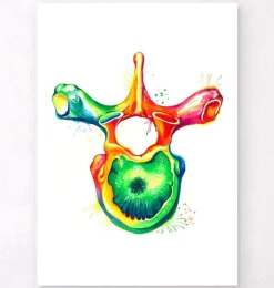 Vertèbre thoracique - Aquarelle-Codex Anatomicus