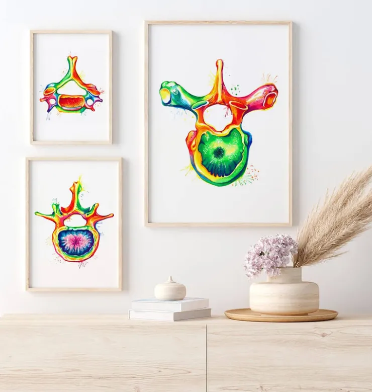 Vertèbre thoracique - Aquarelle-Codex Anatomicus