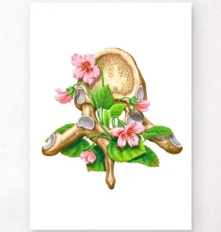 Vertèbre thoracique - Floral - Blanc-Codex Anatomicus Clearance