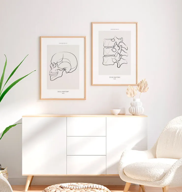 Vue latérale du crâne - Line Art-Codex Anatomicus Discount